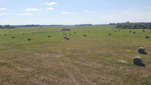 Un vasto campo con rollos de heno, vista superior . — Vídeos de Stock