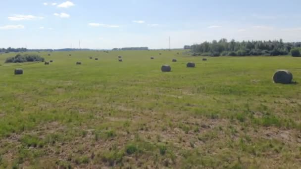 Weergave van het veld met hooi landbouw. — Stockvideo