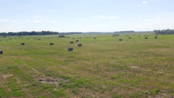 Campo de cultivo cerca de una carretera, vista superior . — Vídeos de Stock