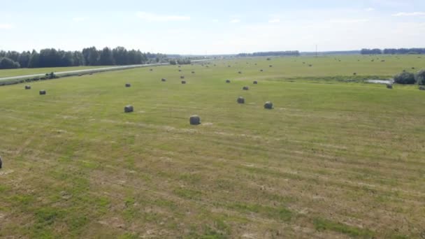 Stapels hooi op een landbouw-veld, bovenaanzicht. — Stockvideo