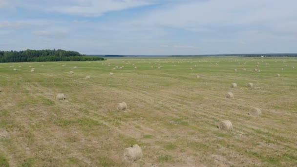 Campo verde con pajar, vista superior . — Vídeo de stock