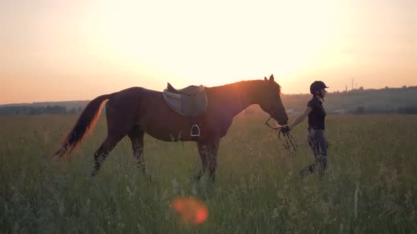 Női lovas sétál egy ló egy naplemente háttér. — Stock videók