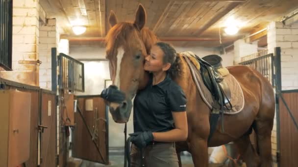 Een Vrouw Aaien Haar Paard Terwijl Een Stal — Stockvideo