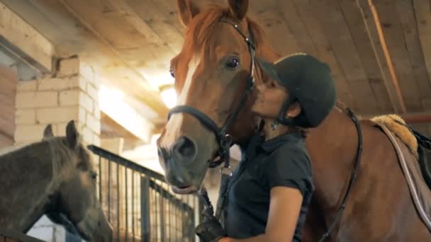 Žena hovoří k svému koni, zblízka. Sportovec mluví s koněm ve stáji před konkurenci. — Stock video