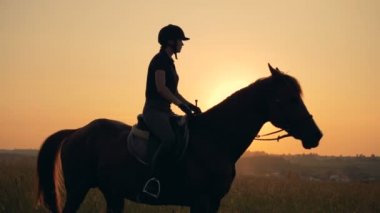 Kadın ata, yan görünüm oturur. Bir ata alanında günbatımı bir arka plan üzerinde bir atlet rides.