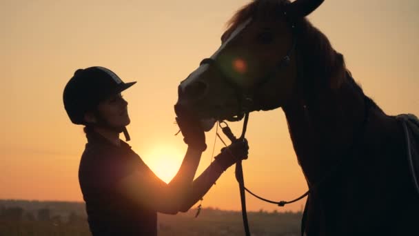 Vrouwelijke ruiter feeds een paard met hooi, close-up. — Stockvideo