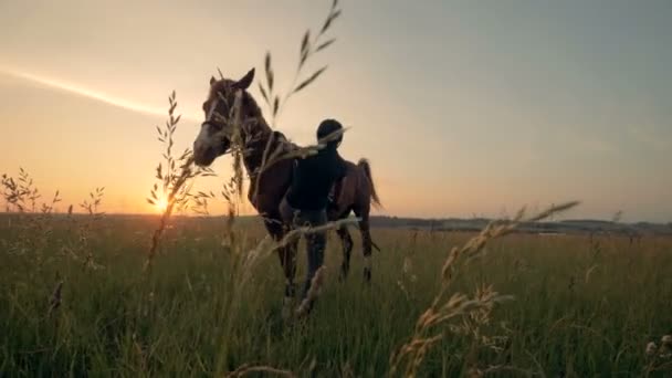 Jedna kobieta montuje konia, z bliska. — Wideo stockowe