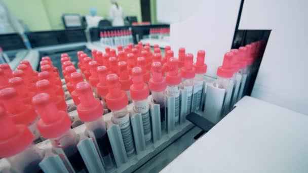 Wiersze z pojemników z próbkami krwi są coraz transportowany do analizatora kliniki — Wideo stockowe
