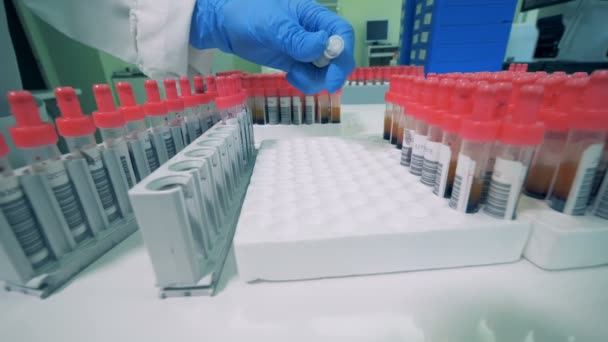 Le personnel de laboratoire vérifie les éprouvettes et les déplace. — Video