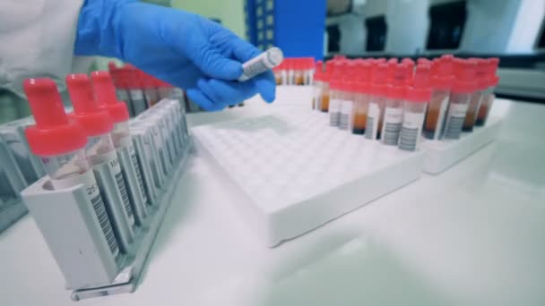 Proceso de reubicación de muestras de sangre — Vídeos de Stock