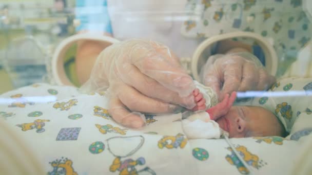 Kinderarzt bewegt winzige Hände eines Neugeborenen — Stockvideo