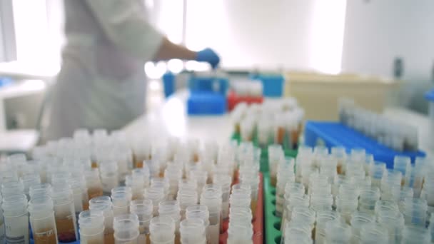 Cylindrical test tubes are getting sorted by a lab worker — Stock Video