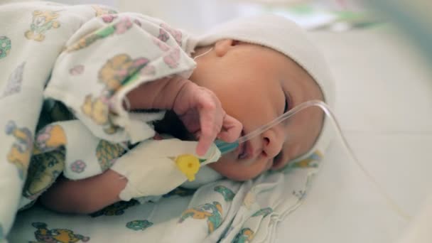 Новорожденный ребенок перемешивается в неонатальной единице — стоковое видео