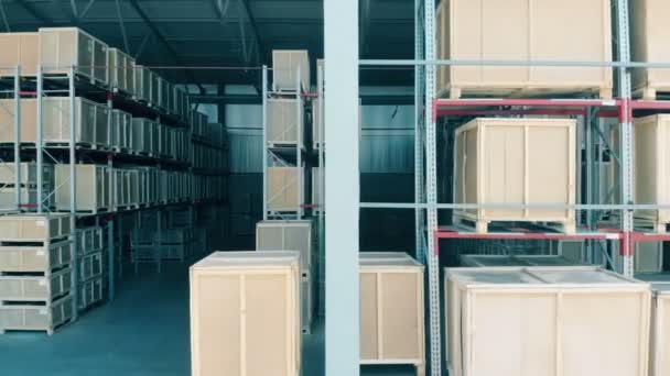 Novos racks com caixas em um armazém aberto . — Vídeo de Stock