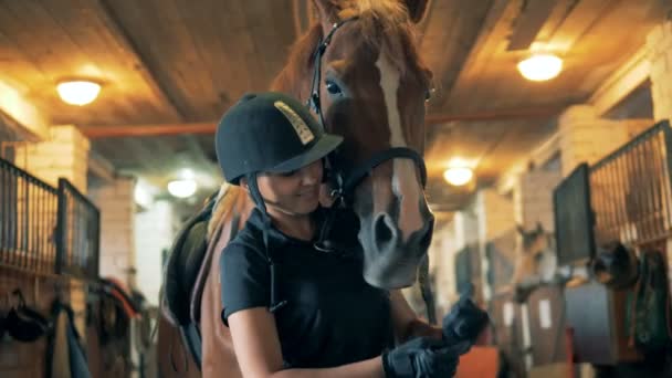 Eine Frau Und Ein Pferd Stehen Einem Speziellen Stall Und — Stockvideo