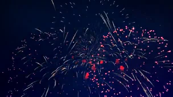 Viel buntes Feuerwerk bei Feier. — Stockvideo