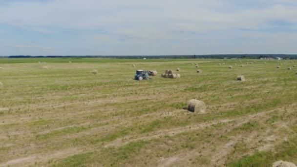 Landbouw machine zet hooibergen samen, bovenaan visie. — Stockvideo