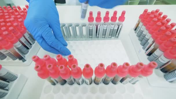 Le provette con campioni di sangue vengono controllate e inserite nella piattaforma medica — Video Stock