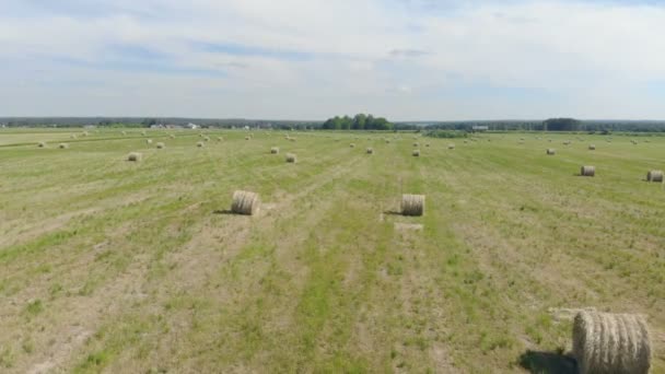 Hayricks tendido en un campo, vista superior . — Vídeo de stock