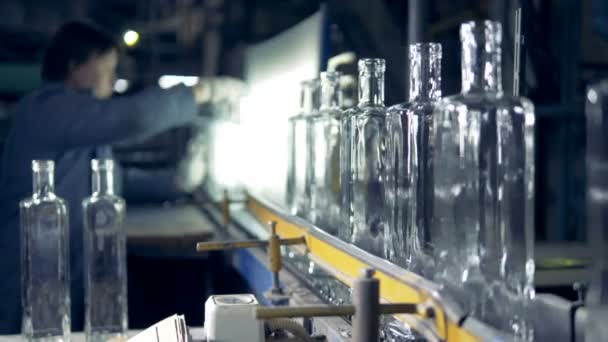 En arbetare kontrollerar flaskor. Kvinnliga arbetare kontrollerar ny flaska, medan de går på en linje på en fabrik. — Stockvideo