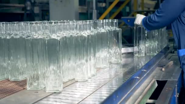 A worker puts bottles on a conveyor, side view. — Stock Video