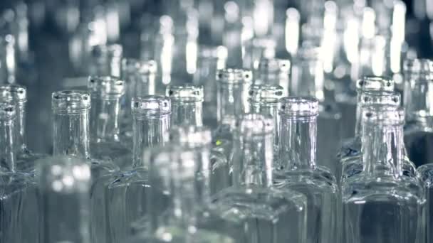 Muchas botellas de vidrio, de cerca. Botellas vacías en una planta . — Vídeos de Stock