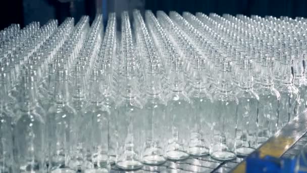 Lots of clear bottles on a large conveyor, close up. — Stock Video