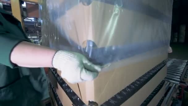 Die Leute packen Verpackungen in Schachteln, aus nächster Nähe. Arbeiter verpacken Kartons mit leeren Flaschen in einer Fabrik. — Stockvideo