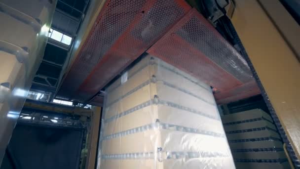 La machine spéciale désaère les boîtes enveloppées, fermez. Processus d'emballage dans une usine . — Video