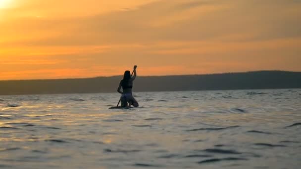 Surfing dziewczyna unosi się na deski surfingowej, ack widok. Kobieta wciąga wiosło podczas jazdy deska w wodzie. — Wideo stockowe