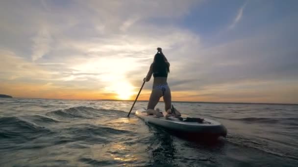Female surfer rides a paddleboard in an open ocean in the evening. 4K. — Stock Video