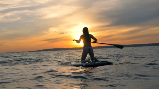 Surfing πρόσωπο στον ωκεανό, πίσω όψη. — Αρχείο Βίντεο