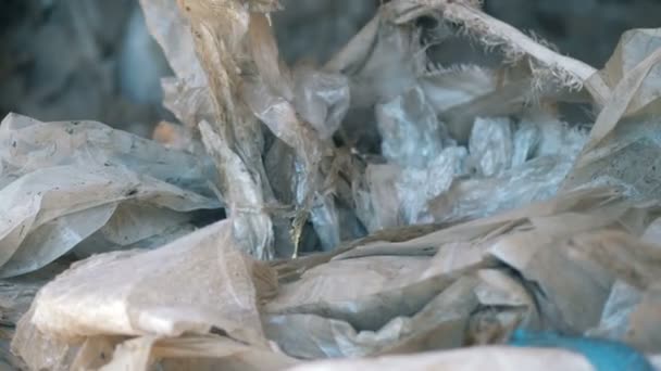 Pile of garbage, close up. A man throws packs of garbage into one pile. — Stock Video