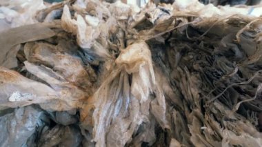 Kirli selüloz, plastik, selofan bir tesisi yakın çekim.