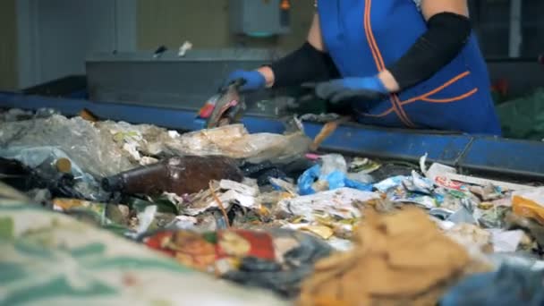 Процесс сортировки на мусорном заводе, закрыть . — стоковое видео