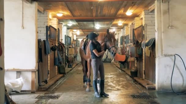 Jockey girl está acariciando un caballo en los establos — Vídeos de Stock