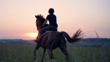 Aygır bir kadın binici ile araziyi dörtnala