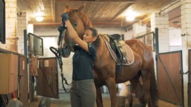 Bir at ahır içinde bir snaffle koyarak işlemi. 4k