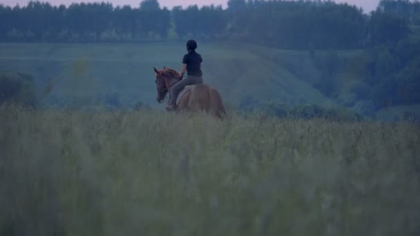 夕暮れの中に茶色の馬に乗っている騎手の女性 — ストック動画