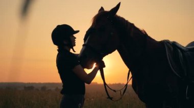 Jokey Bayan açık havada bir kısrak okşayarak
