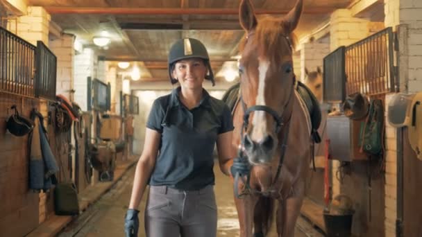 Young female jockey is leading a brown horse away through the stables — Stock Video