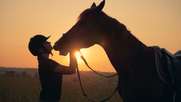 茶色の馬が夕日にその女性の馬術をスニッフィングします。 — ストック動画