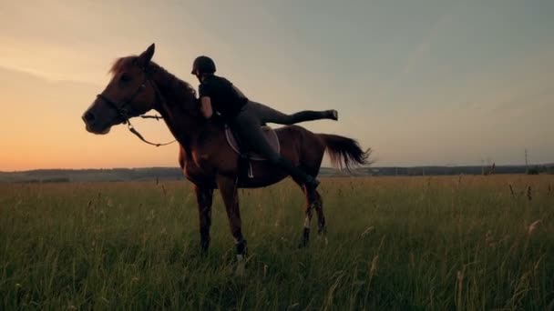 赛马女孩从她的马下来 并在露天爱抚它 — 图库视频影像