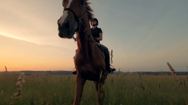Brown mare is getting ridden by a female equestrian across an open field — Stock Video
