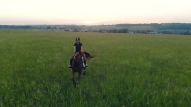 Profesyonel kadın Binicilik arasında büyük bir alana bir ata biniyor