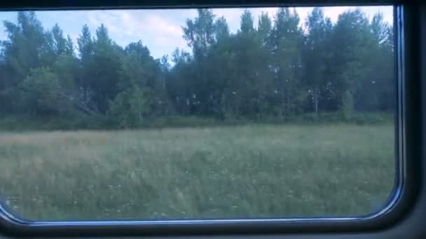 Paisaje forestal mostrado a través de la ventana de un vagón de tren. Concepto de viaje ferroviario . — Vídeo de stock