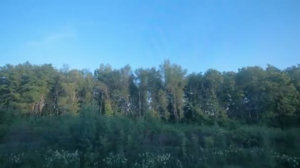 Grabación Paisaje Natural Través Ventana Vehículo Movimiento — Vídeo de stock