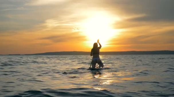 スポーツウーマンは、夕日を背景にパドルで特別なボードに浮かんでいます。4 k. — ストック動画