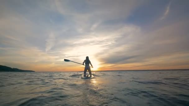 Sportswoman on a paddleboard in the ocean, back view. — Stock Video