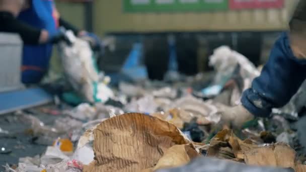 Los trabajadores de la fábrica recogen materiales de cartón y papel de una línea móvil. 4K . — Vídeos de Stock